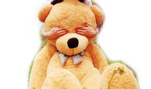 动漫熊,动漫熊的奇幻冒险之旅