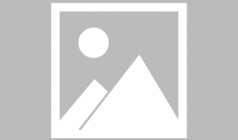 动漫熊,动漫熊的奇幻冒险之旅